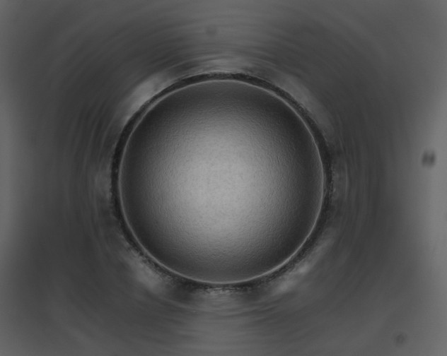 X0000096700834200802121201