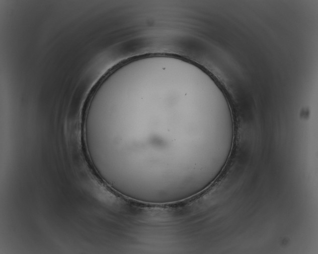 X0000096700836200802121201