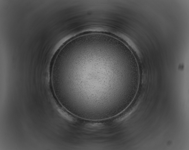 X0000096700837200802121201