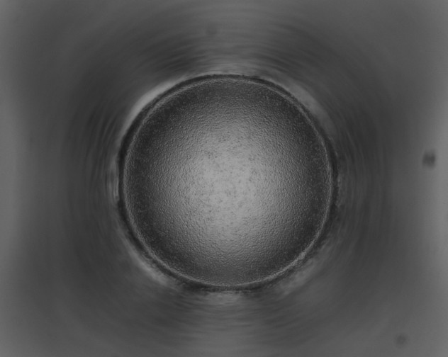 X0000096700838200802121201