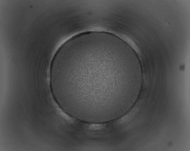 X0000096700839200802121201