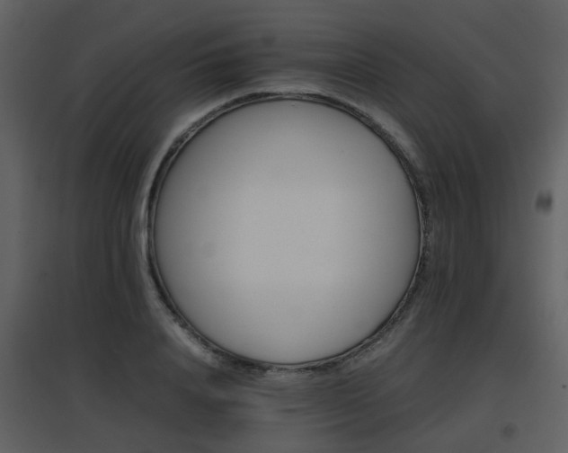 X0000096700840200802121201