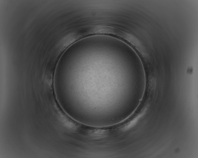 X0000096700841200802121201