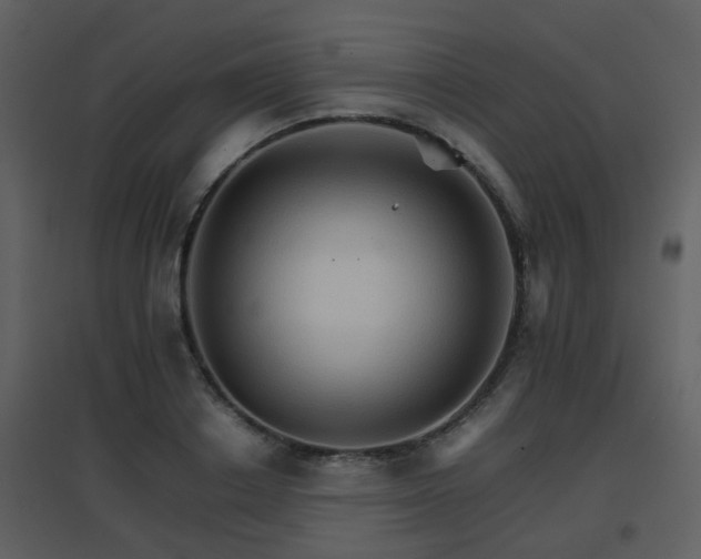 X0000096700842200802121201
