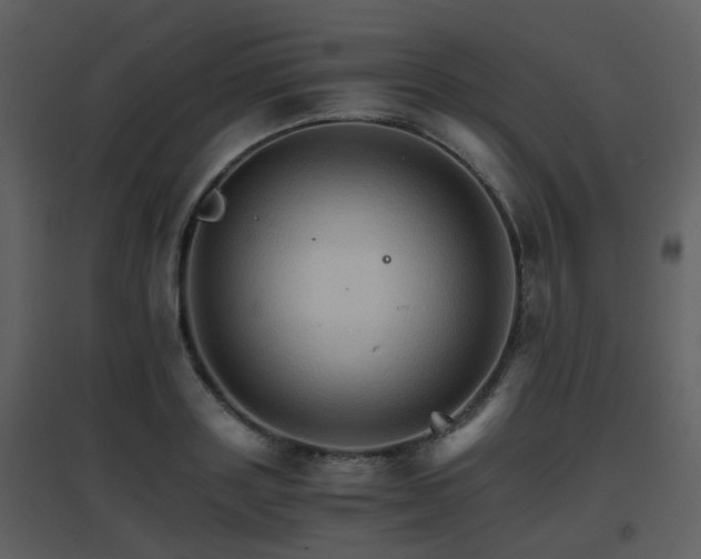 X0000096700843200802121201