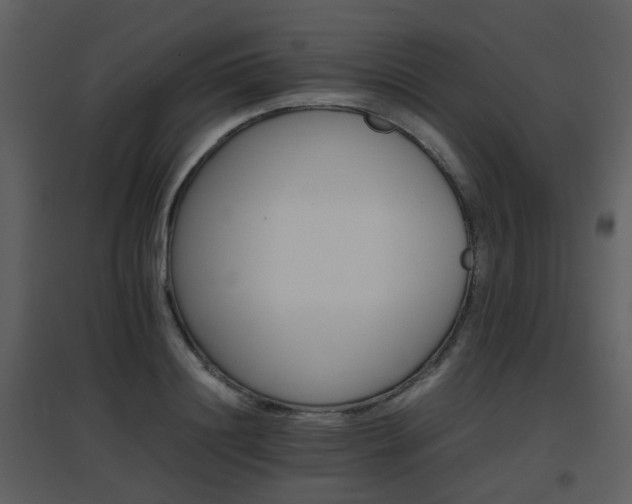 X0000096700844200802121201