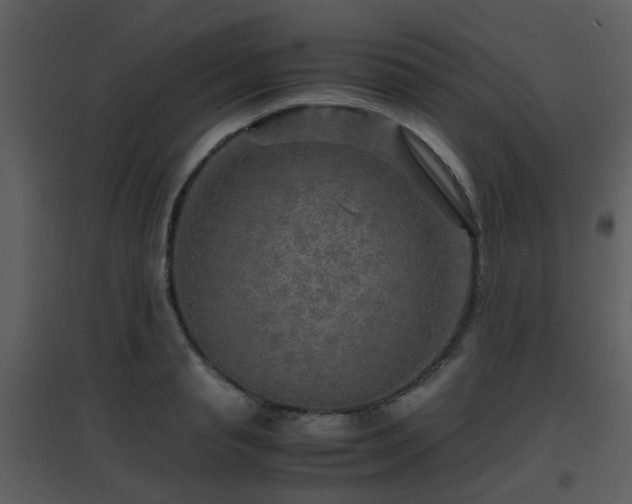 X0000096700845200802121201