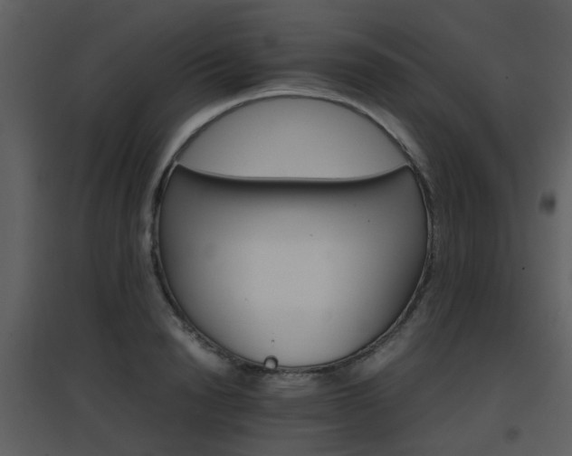 X0000096700846200802121201