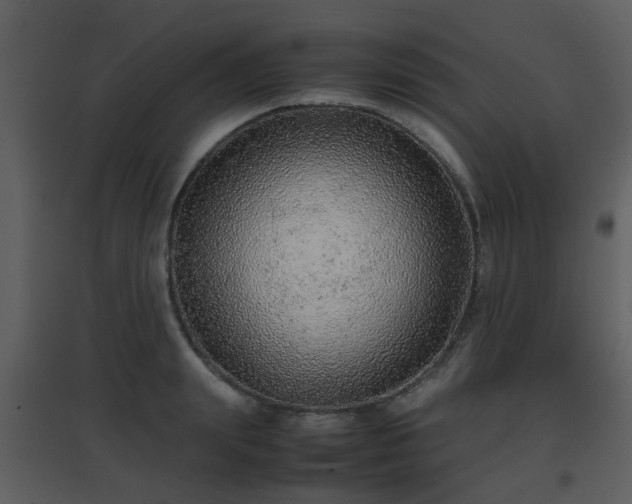 X0000096700847200802121201
