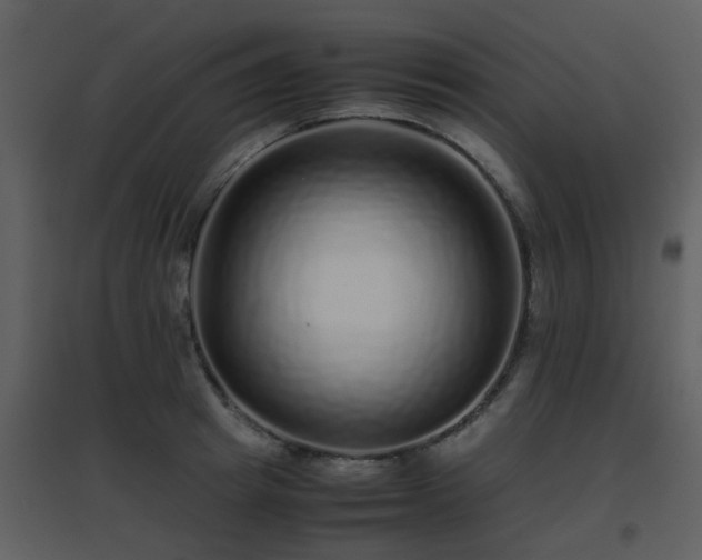X0000096700849200802121201