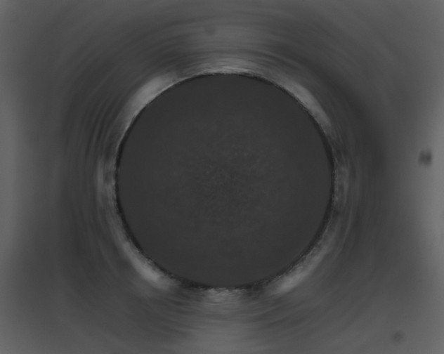 X0000096700850200802121201