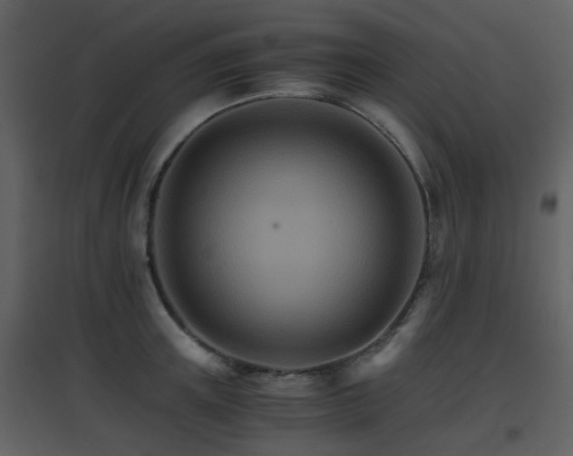X0000096700851200802121201