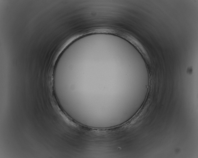 X0000096700852200802121201