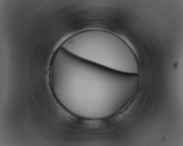 X0000096700853200802121201
