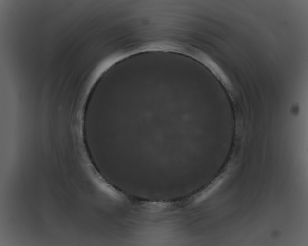 X0000096700854200802121201