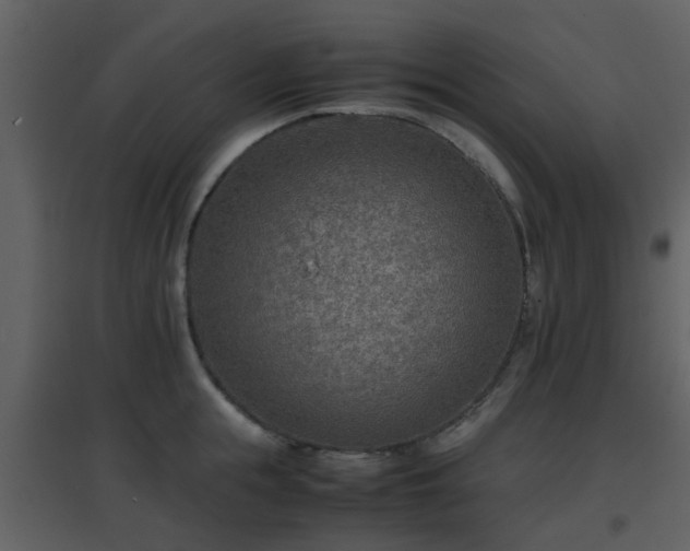 X0000096700855200802121201