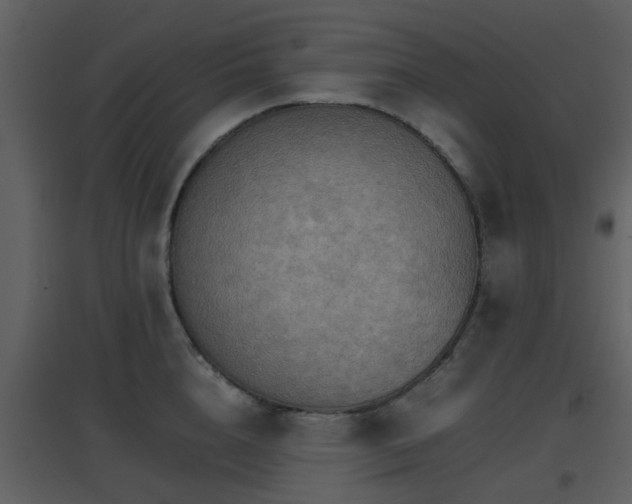 X0000096700856200802121201