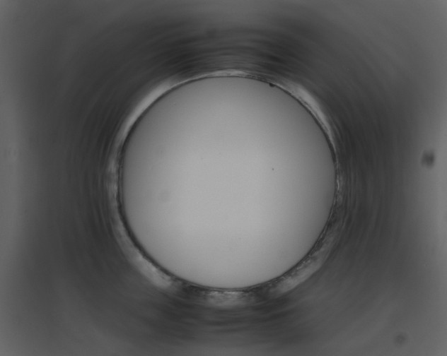 X0000096700859200802121201