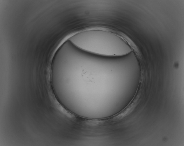 X0000096700860200802121201