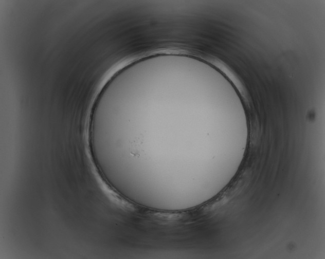 X0000096700861200802121201