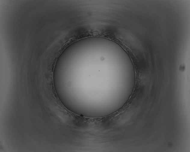 X0000096700865200802121200