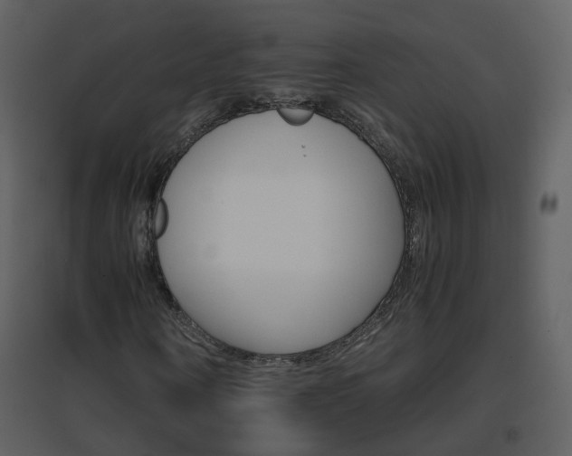 X0000096700866200802121200