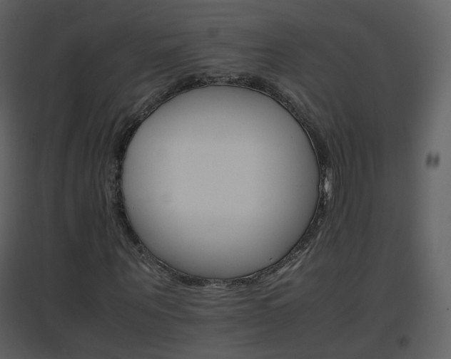 X0000096700867200802121200