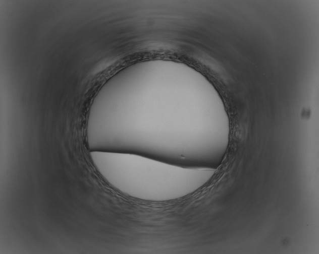 X0000096700869200802121200