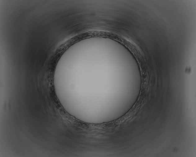 X0000096700870200802121200