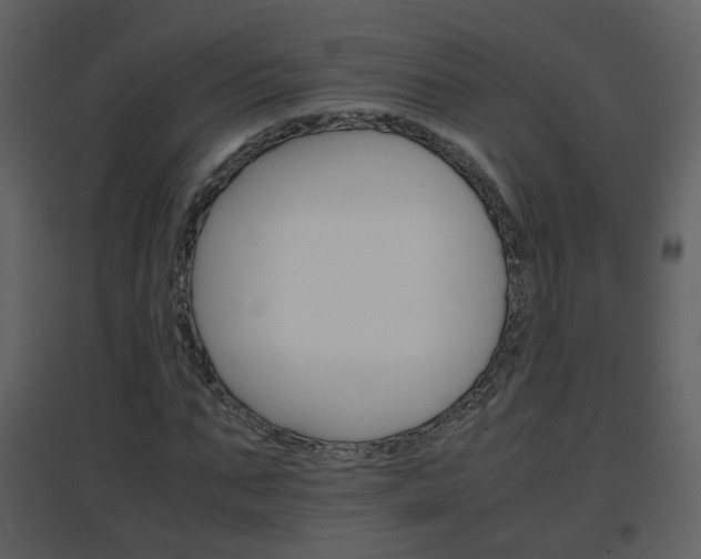 X0000096700871200802121200