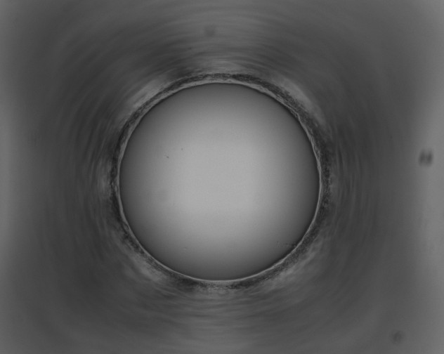 X0000096700873200802121200