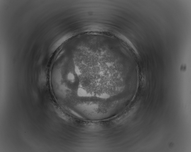 X0000096700874200802121200