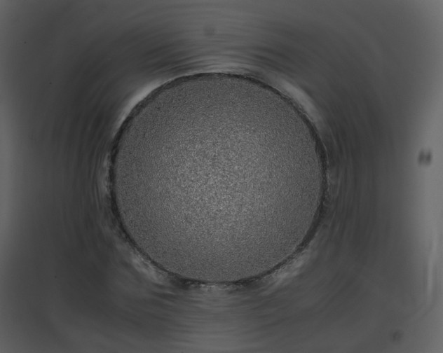 X0000096700875200802121200