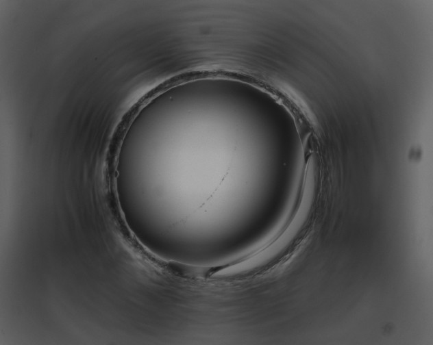X0000096700876200802121200