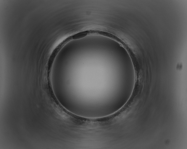 X0000096700877200802121200