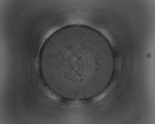 X0000096700879200802121200