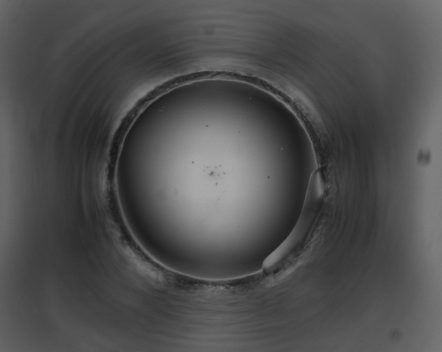 X0000096700880200802121200
