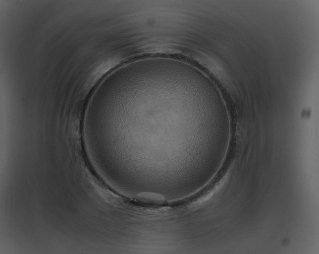 X0000096700881200802121200
