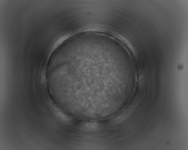 X0000096700882200802121200