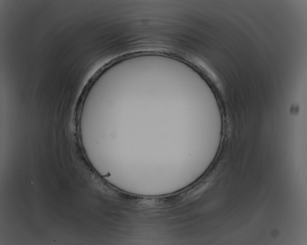 X0000096700883200802121200