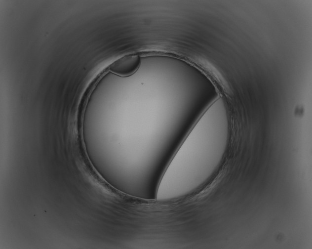 X0000096700884200802121200