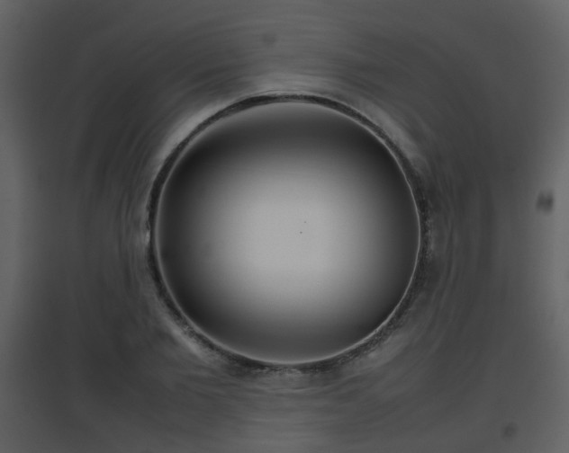 X0000096700885200802121200