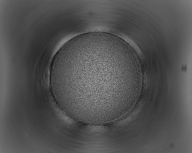 X0000096700886200802121200