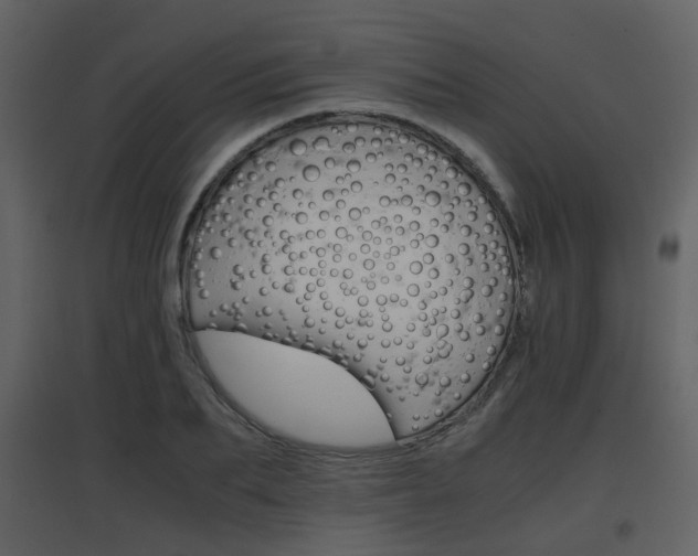 X0000096700887200802121200