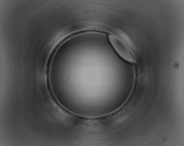 X0000096700888200802121200