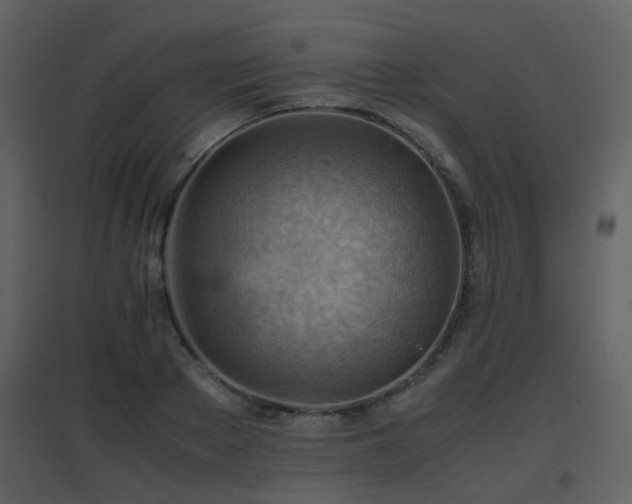 X0000096700889200802121200