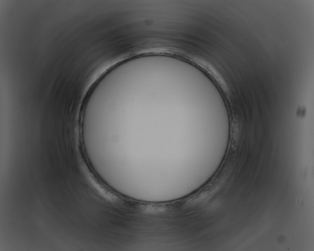 X0000096700890200802121200