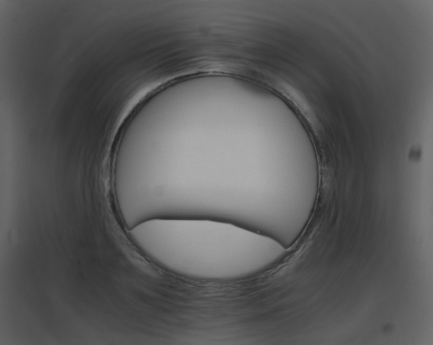 X0000096700891200802121200