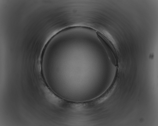 X0000096700892200802121200