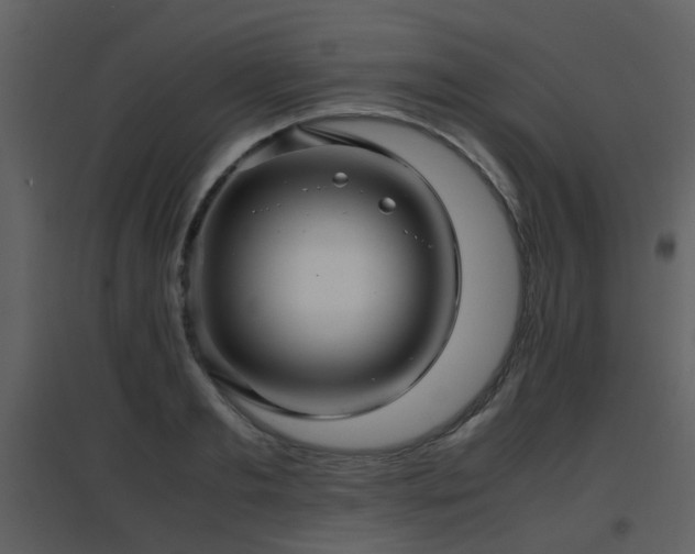 X0000096700893200802121200